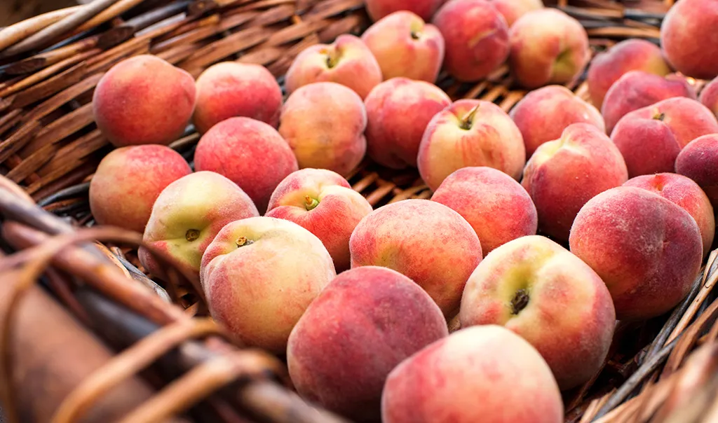 Peaches - a delicious summer fruit